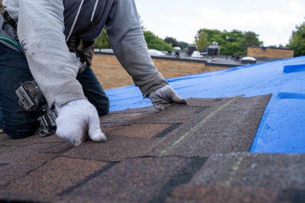 Best New Roof Installation  in St Ansgar, IA